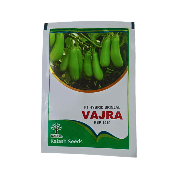 Buy Kalash KSP 1419 Vajra F1 Hybrid Brinjal Vegetable Seeds