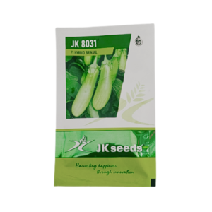 JK 8031 F1 Hybrid Brinjal Vegetable Seeds Online