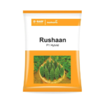 Nunhems Rushaan F1 Hybrid Bitter Gourd