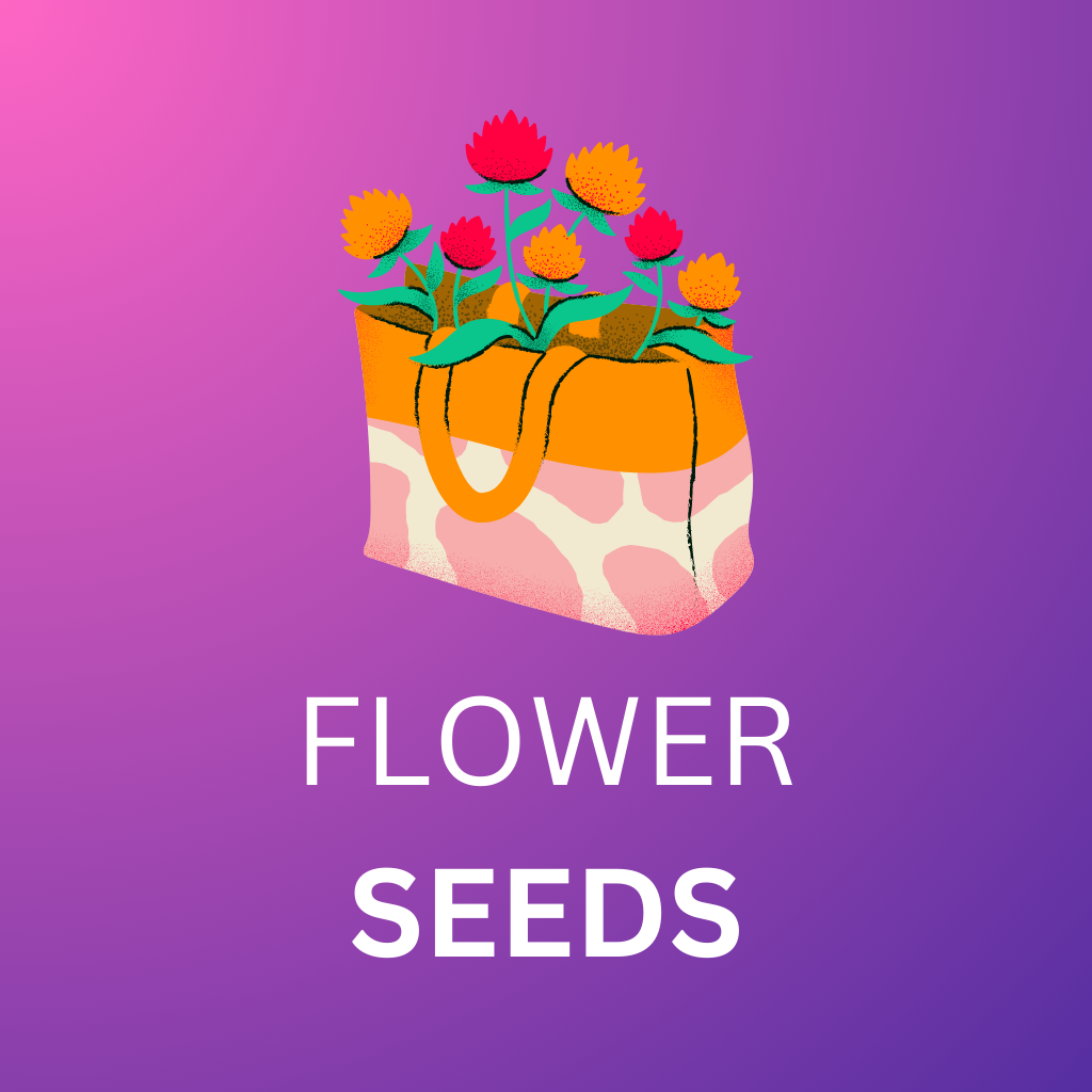 flower seeds agroseeds