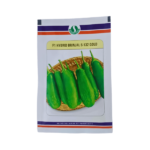 Sungro S-132 Gold F1 Hybrid Brinjal Vegetable Seeds