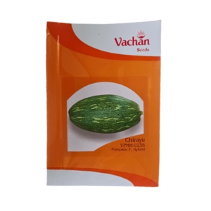 Vachan Chirayu VPMH 0236 Hybrid Pumpkin Vegetable Seeds