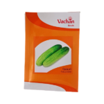 Vachan Gauri Hybrid Cucumber Seeds Plant Online