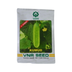 Vnr Kumud F1 Hybrid Cucumber Organic Seeds Plant Online