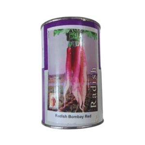 Durga Bombay Red Radish Organic Vegetable Seeds Plant Online