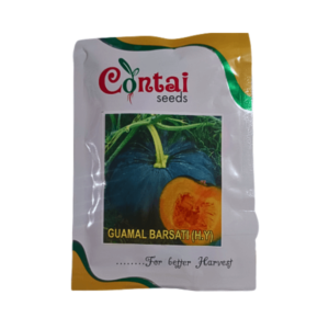 Contai Guamal Barsati Hybrid Pumpkin Vegetable Seeds