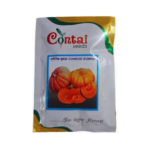 Contai Chinese Kumara Hybrid Pumpkin Vegetable Seeds