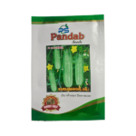 Pandab Barsa Mangal Improved F2 Cucumber Vegetable Seeds