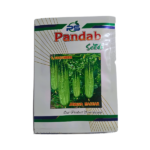 Pandab Jamuna Machar F2 Hybrid Cucumber Vegetable Seeds