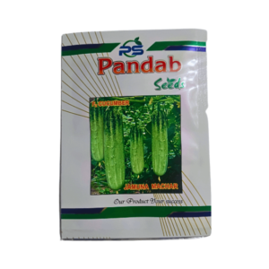 Pandab Jamuna Machar F2 Hybrid Cucumber Vegetable Seeds