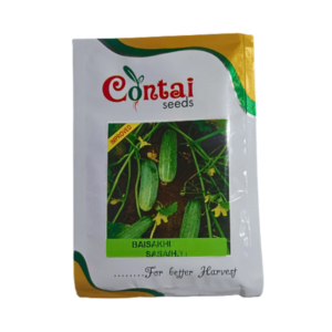 Contai Baisakhi Sasa Improved Cucumber Vegetable Seeds