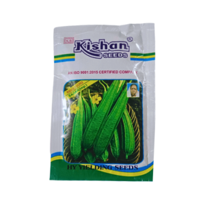 Kishan Sagar Improved Ridge Gourd Vegetable Seeds