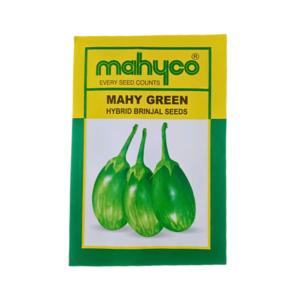 Mahyco Mahy Green Hybrid Brinjal Vegetable Seeds