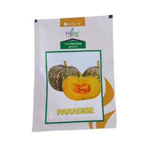 Acsen Hyveg Paradise Hybrid Pumpkin Vegetable Seeds