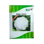 PAN (Pan 3553) F1 Hybrid Cauliflower Vegetable Garden Seeds Online 10gm