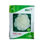 PAN (Pan 1008) F1 Hybrid Cauliflower Best Vegetable Seeds Online India 10gm