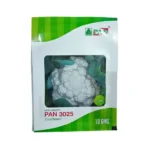 PAN (Pan 3025) F1 Hybrid Cauliflower Best Vegetable Seeds Online India 10gm