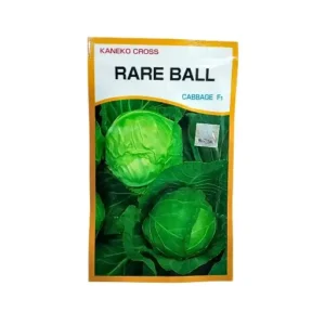 Kaneko Cross Rare Ball Cabbage F1 Hybrid vegetable seeds online buy 10 gm