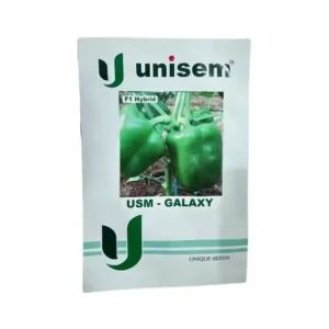 Unisem USM-Galaxy F1 Hybrid Capsicum Vegetable Seeds Online Buy 01gm