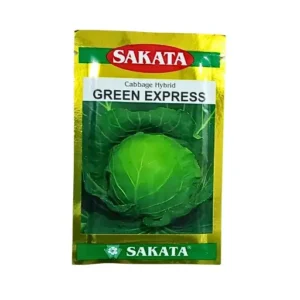 Sakata Green Express Hybrid Cabbage Vegetable Seeds Online Buy 10gm