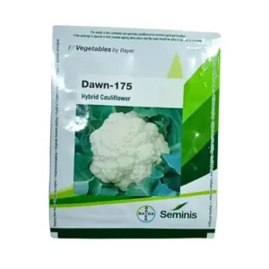 Seminis Bayer Dawn-175 Hybrid Cauliflower 10 gm Bayer Vegetable Seeds India