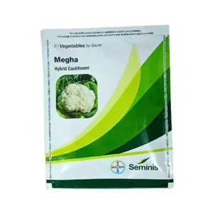 Seminis Bayer Megha Hybrid Cauliflower 10 gm Bayer Vegetable Seeds India