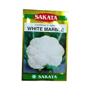 Sakata White Marble F1 hybrid Cauliflower 10gm Organic vegetable Seeds Companies