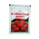 Kalash Ksp 1724 Pragathi F1 Hybrid Tomato 10gm Vegetable Seeds Online India