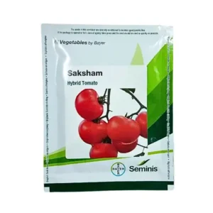 Bayer Seminis Hybrid Tomato Saksham 10gm Organic Vegetable Seeds India