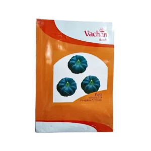 Vachan Parth Vpmh-0324 Pumpkin F Hybrid Vegetable 60 Pices Seeds