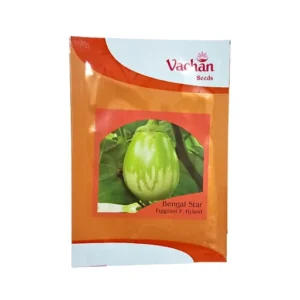 Vachan Bengal Star Eggplant F Hybrid Vegetable Seeds 8 gm