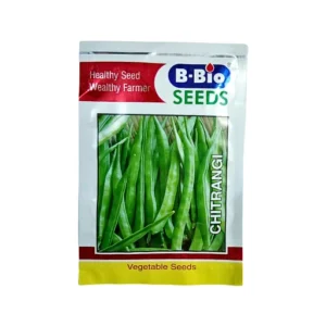 B-Bio Chitrangi Bean Vegetable Seeds 25 gm