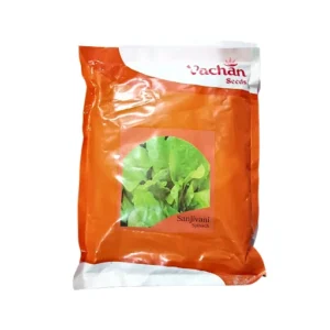 Vachan Sanjivani Spinach 500 gm Vegetable Seeds