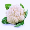 New Shatabdi F1 Hybrid Cauliflower Seeds (129 Pis)