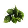 Agroseeds Shot Gun F1 Hybrid Bitter Gourd Seeds 29 Pis