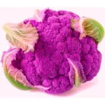 Agroseeds Ritika F1 Hybrid Broccoli Seeds 129 Pis