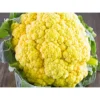 Agroseeds Megha F1 Hybrid Broccoli Seeds 129 Pis
