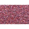Agroseeds Shruti F1 Hybrid Broccoli Seeds 129 Pis