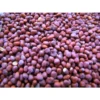 Agroseeds Ritika 125 F1 Hybride Kholrabi Seeds 129 Pis