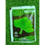 Kalash KSP 1602 F1 Hybrid Spinach Seeds