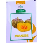 Acsen Hyveg Paradise F1 Hybid Pumpkin Organic Vegetable Seeds