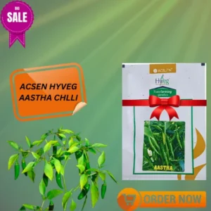 Acsen Hyveg Aastha Chilli Vegetable Organic Seeds