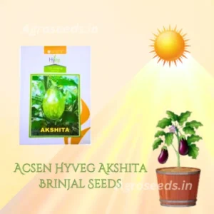 New Acsen Hyveg Akshita F1 Hybrid Brinjal Seeds