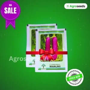 New Kalash Manjhi F1 hybrid Brinjal Seeds