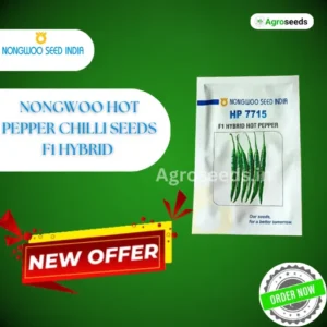 New Nongwoo India Hp 7715 F1 Hybrid Hot Pepper Chilli Seeds