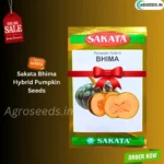 Big Sale Sakata Bhima Pumpkin Organic Vegetable Seeds