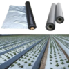 Mulching Sheet