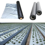 Mulching Sheet